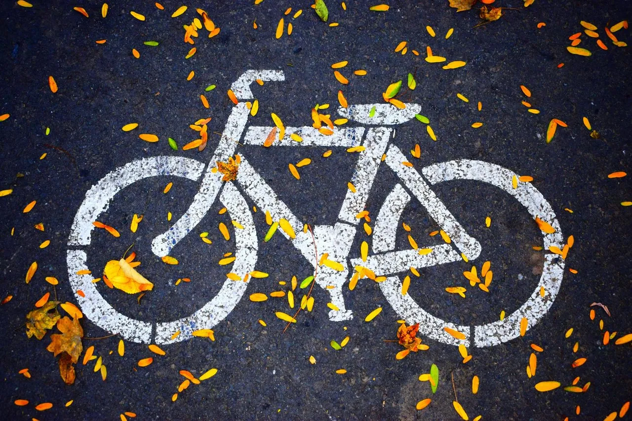 Verkehrsregime Emmen – Radstreifen-Symbol auf Asphaltstrasse mit Herbstblättern