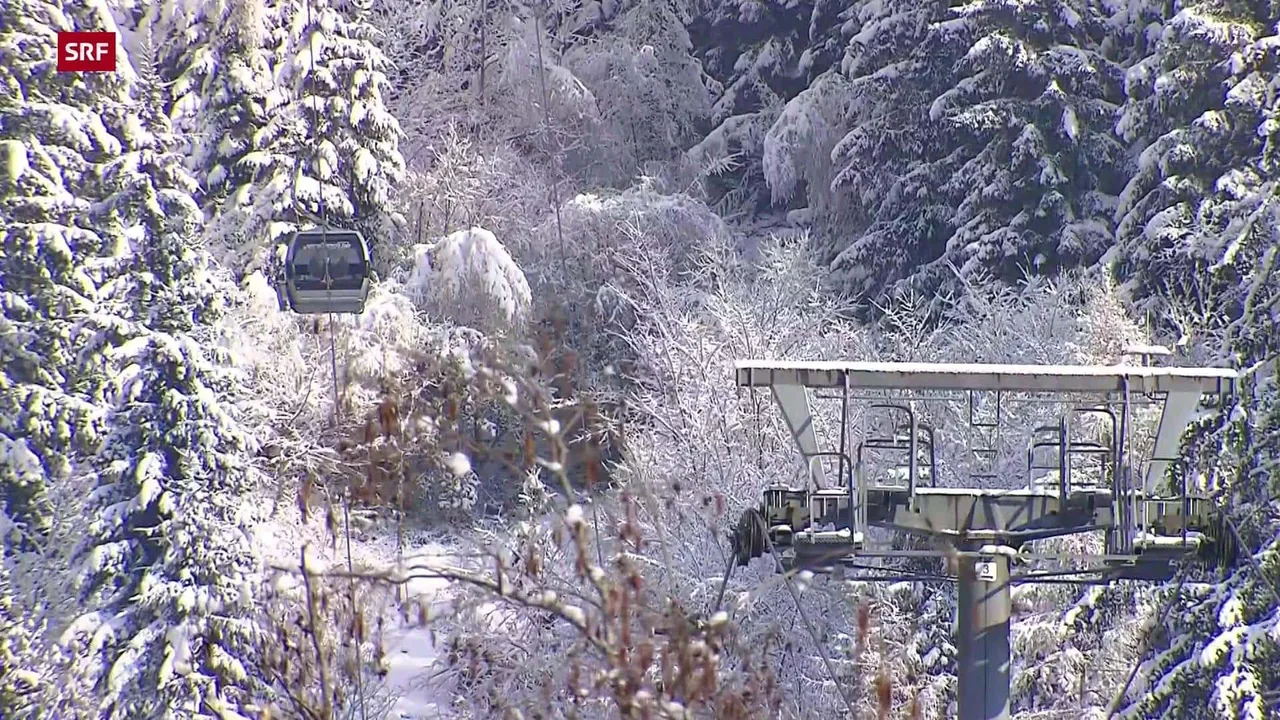 Gondelabsturz Engelberg – Gondelbahn über schneebedecktem Waldgebiet