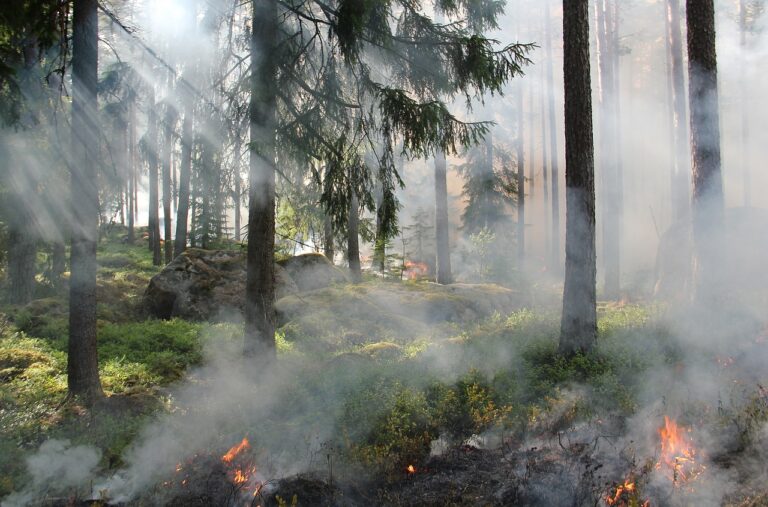 Erhebliche Waldbrandgefahr im Kanton Luzern durch anhaltende Trockenheit