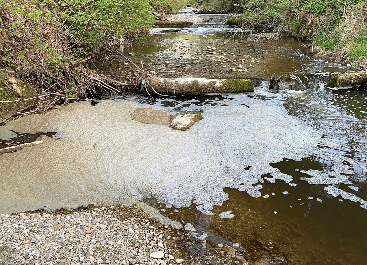 Gewässerverschmutzung durch Gülle führt zu Fischsterben