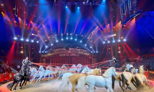 Sommer ohne Knie! Der National-Zirkus kommt dafür im Dezember nach Luzern