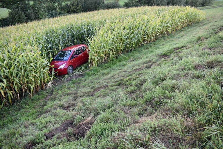 Auto landet im Maisfeld – niemand verletzt