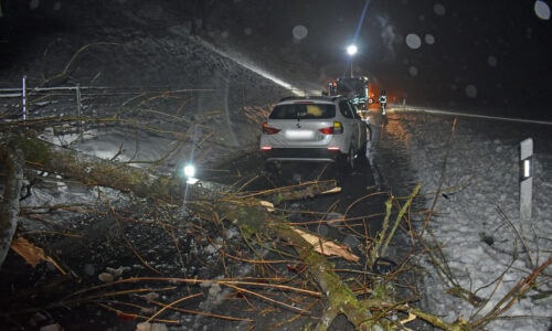 Verkehrsunfälle, steckengebliebene Lastwagen und umgestürzte Bäume beschäftigten die Luzerner Polizei