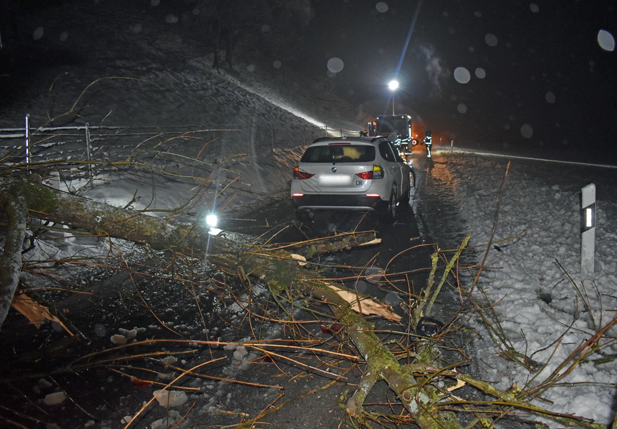 Verkehrsunfälle, steckengebliebene Lastwagen und umgestürzte Bäume beschäftigten die Luzerner Polizei
