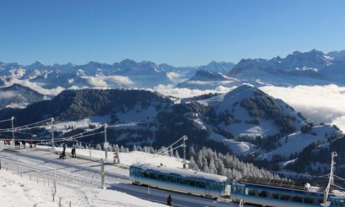 Ein ausserordentlich harter Winter für die Wildtiere: Luzern mahnt Bevölkerung!