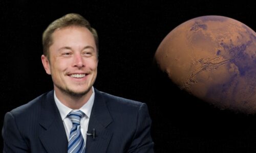 «Man muss ihn stoppen!» Schweizer Professorin warnt vor Tesla Chef Elon Musk