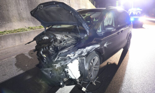 Zeugenaufruf: Verkehrsunfall auf Autobahn A2 – Polizei fängt Hündin ein