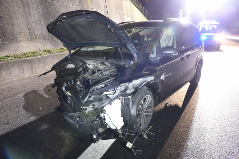 Zeugenaufruf: Verkehrsunfall auf Autobahn A2 – Polizei fängt Hündin ein