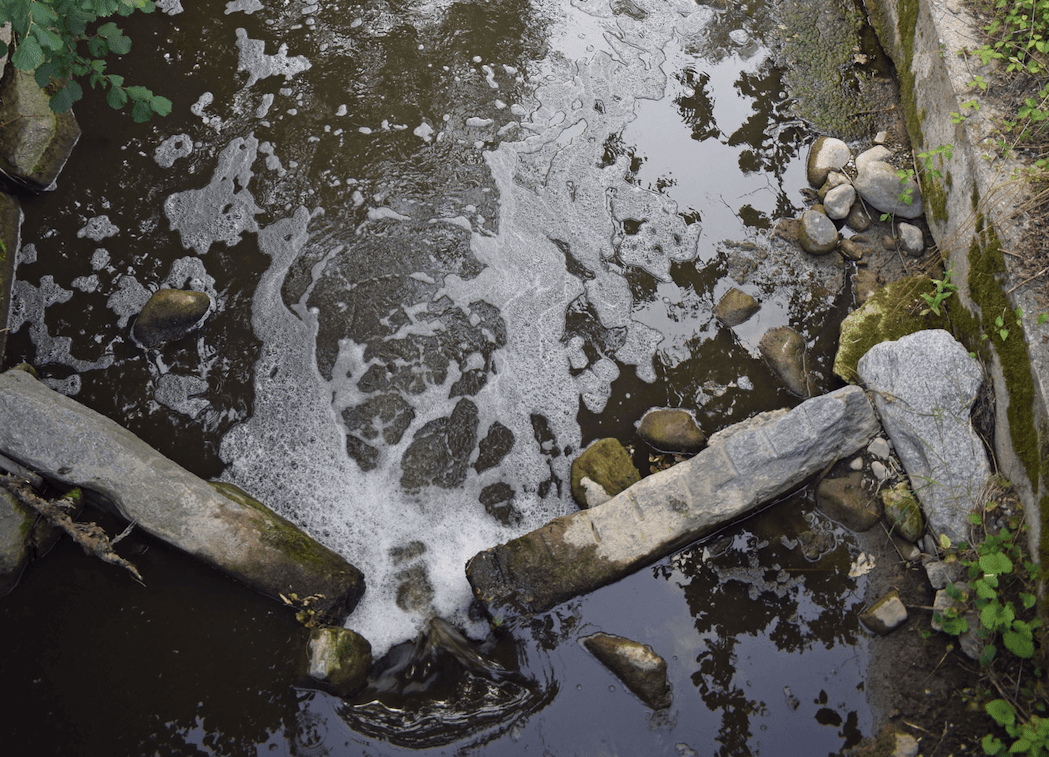 Gewässerverschmutzung durch Gülle führt zu Fischsterben