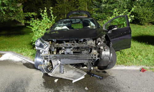Selbstunfall mit Auto – Fahrer leicht verletzt