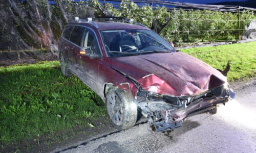Selbstunfall: 51-jähriger Mann fährt mit Auto in Obstplantage