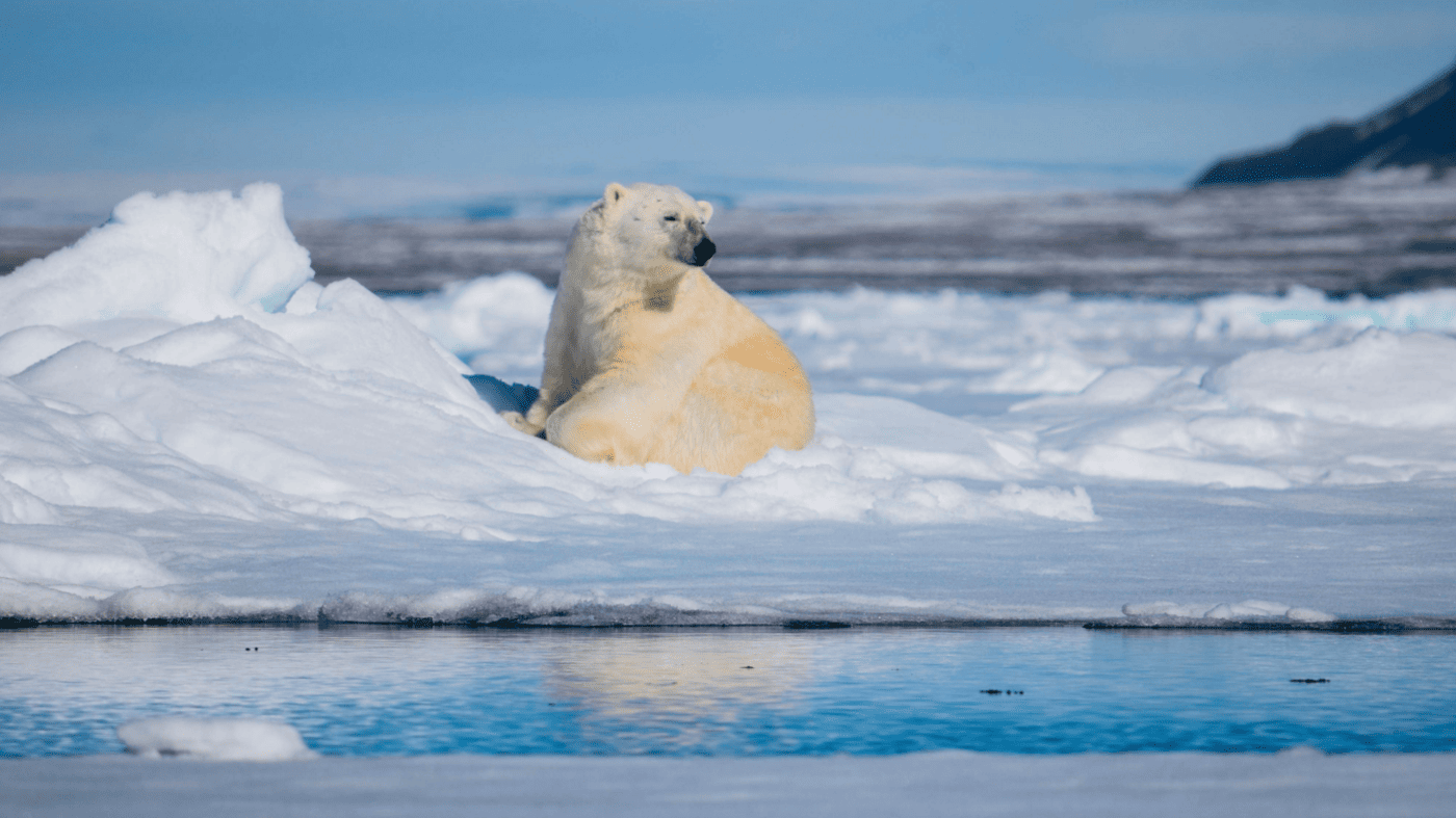 Polarreisen in die Arktis