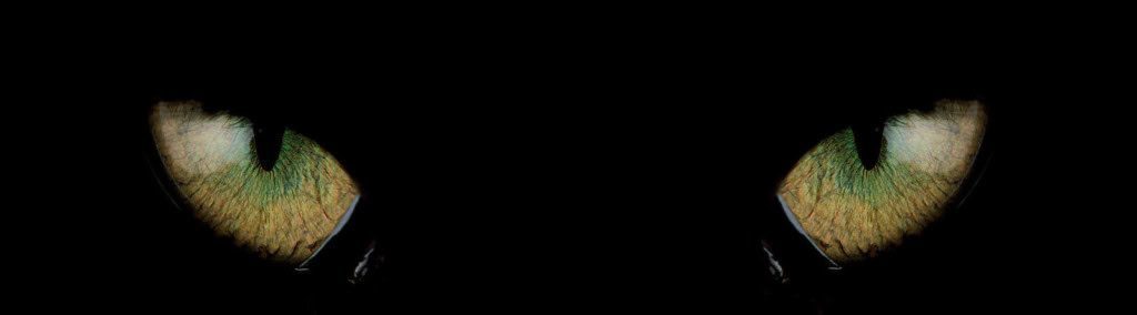 DERA SECURITY