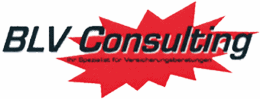 BLV Consulting