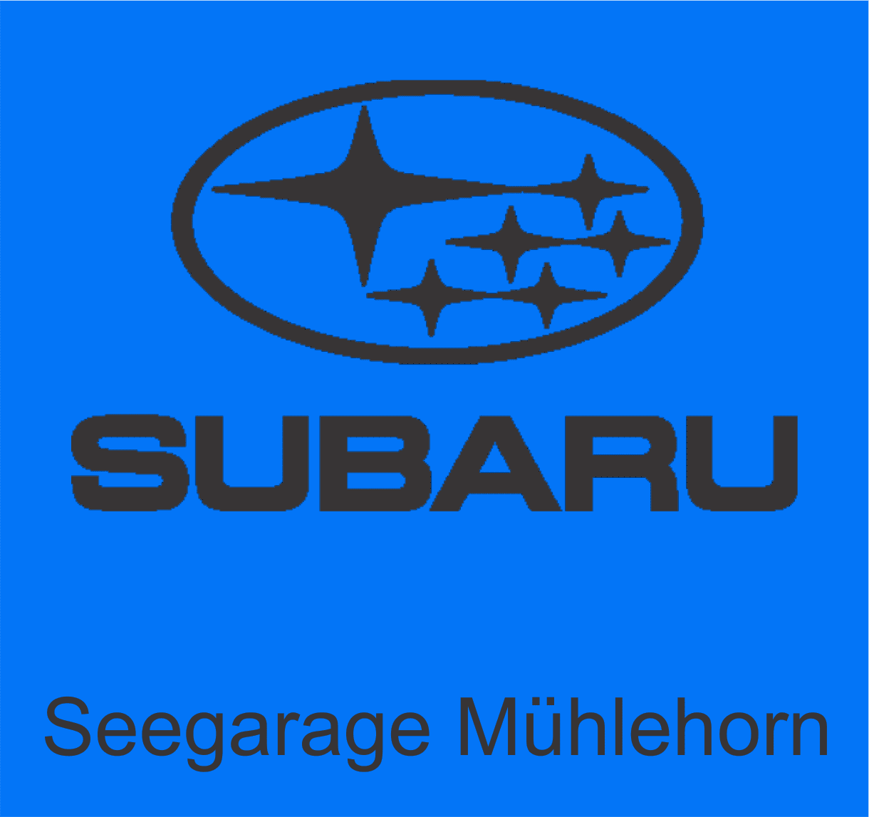 Seegarage Mühlehorn